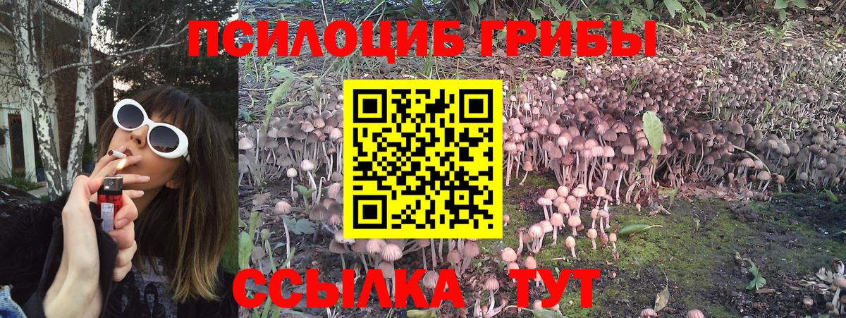 Шали  Псилоцибиновые грибы мухоморы  Вход с VPN 
